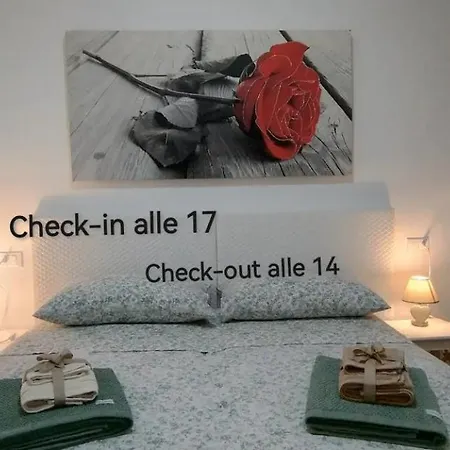 Apartment Open Space